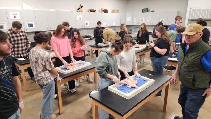 student in dissection lab