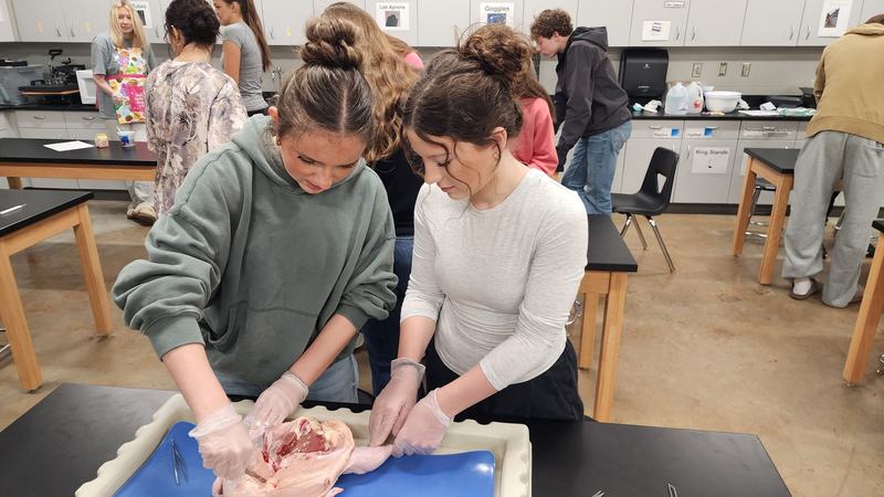 student in dissection lab