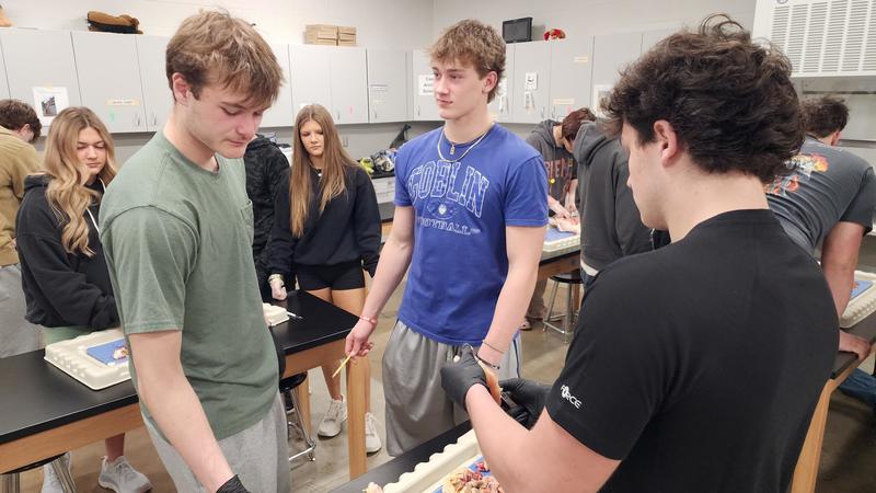 student in dissection lab