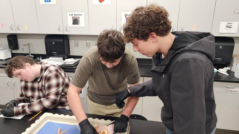 student in dissection lab