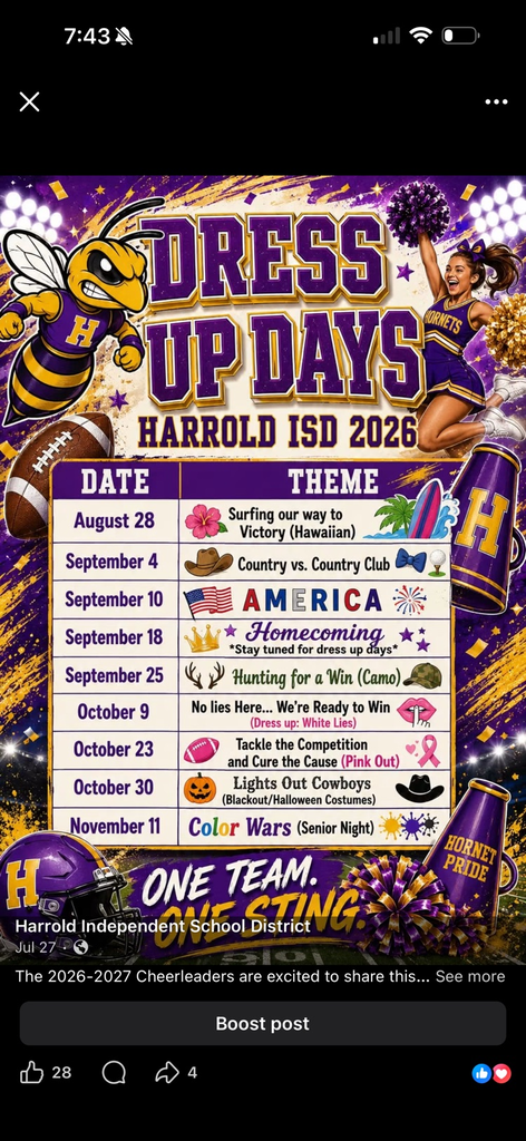 Dress Up Days