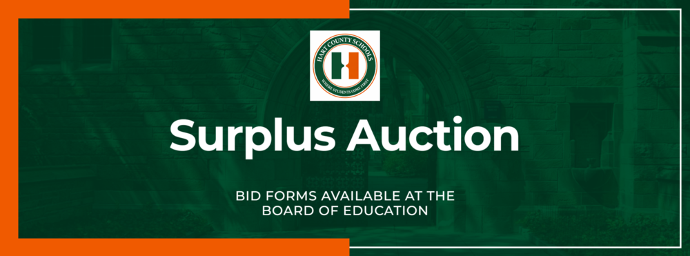 Surplus Auction