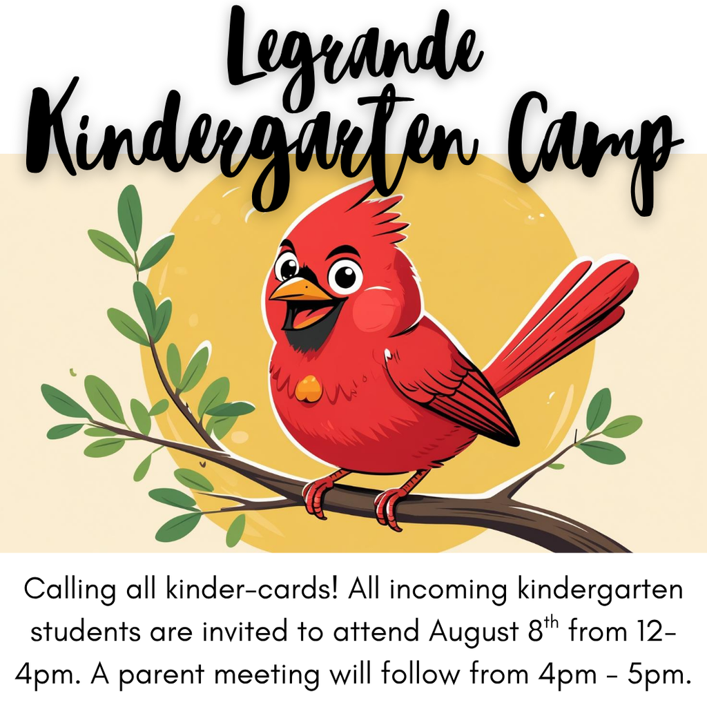 Kindergarten Camp