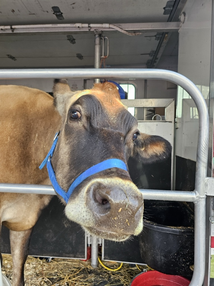 Mobile Dairy Classroom