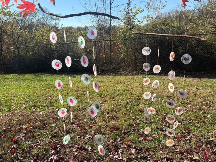 Mrs. Kinslow's K/1 Class Item