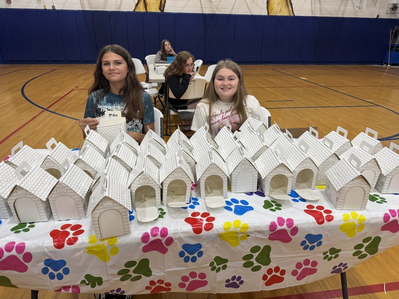 pet adoption