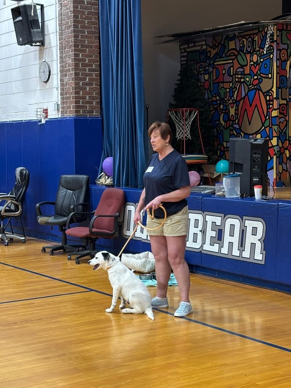 pet adoption