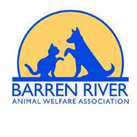 pet adoption