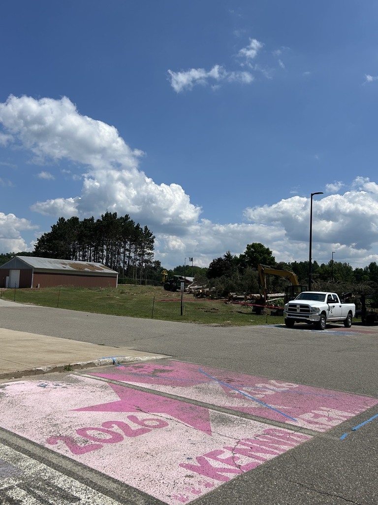 High School Trees Removed