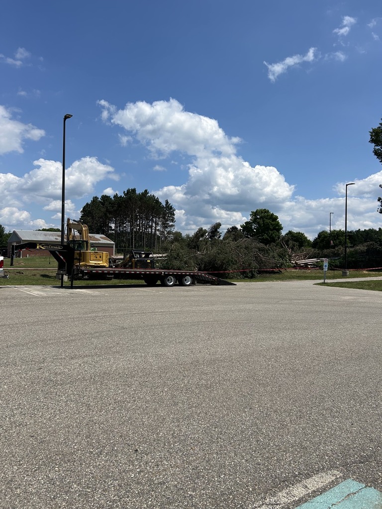 High School Trees Removed