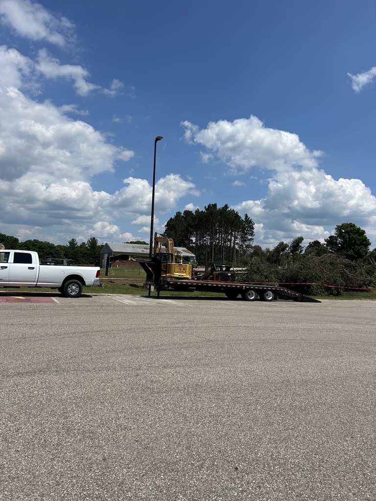 High School Trees Removed