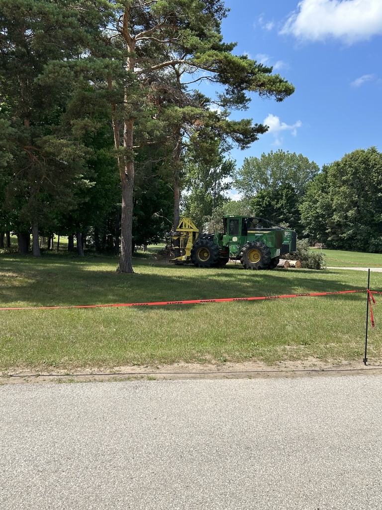 High School Trees Removed