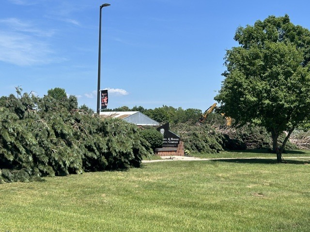 High School Trees Removed
