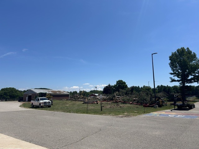 High School Trees Removed