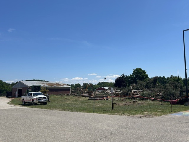 High School Trees Removed