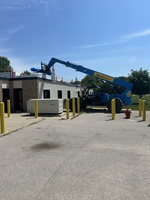 High School Trees Removed