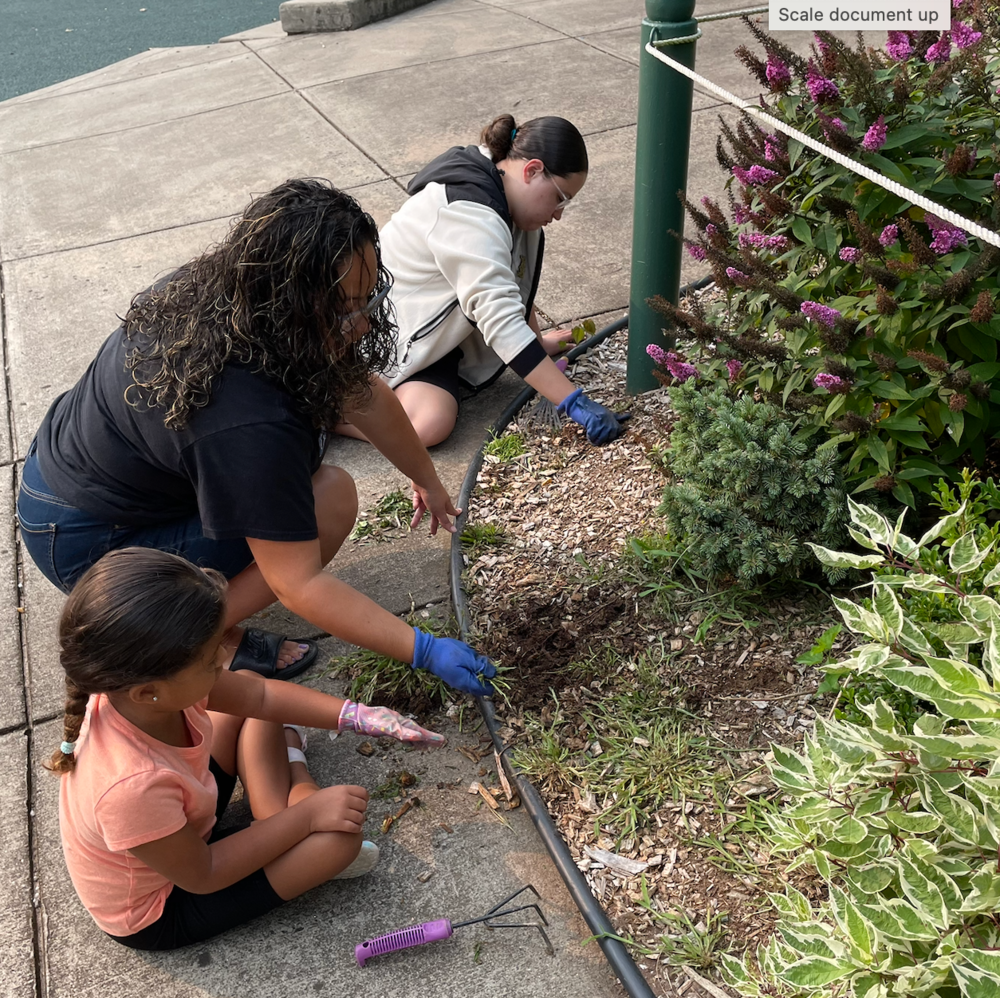 gardening
