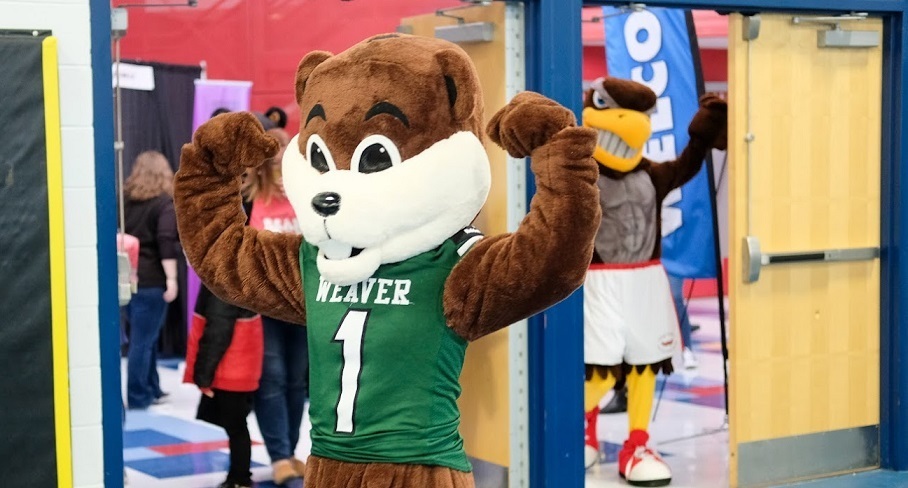 hps EXPO MASCOTS