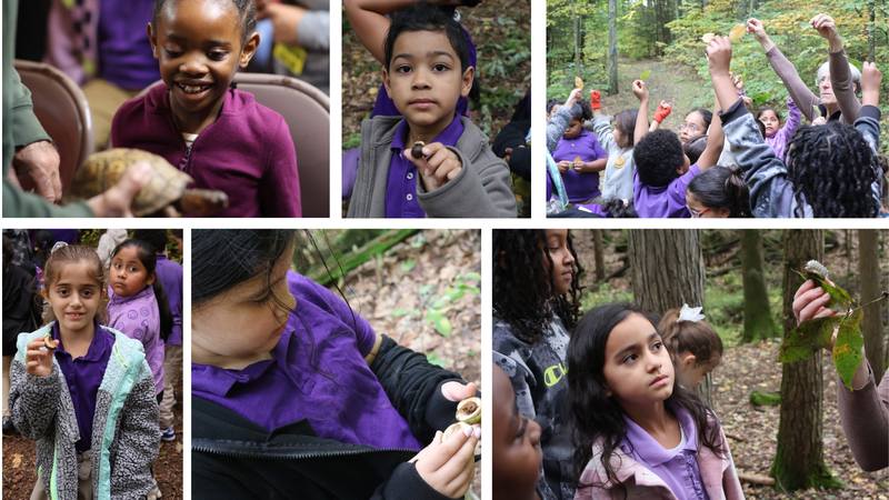 Roaring Brook Field Trip