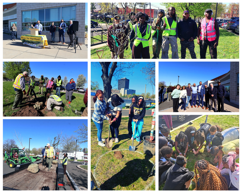 Arbor Day Tree Planting with KNOX at Global Communications Academy