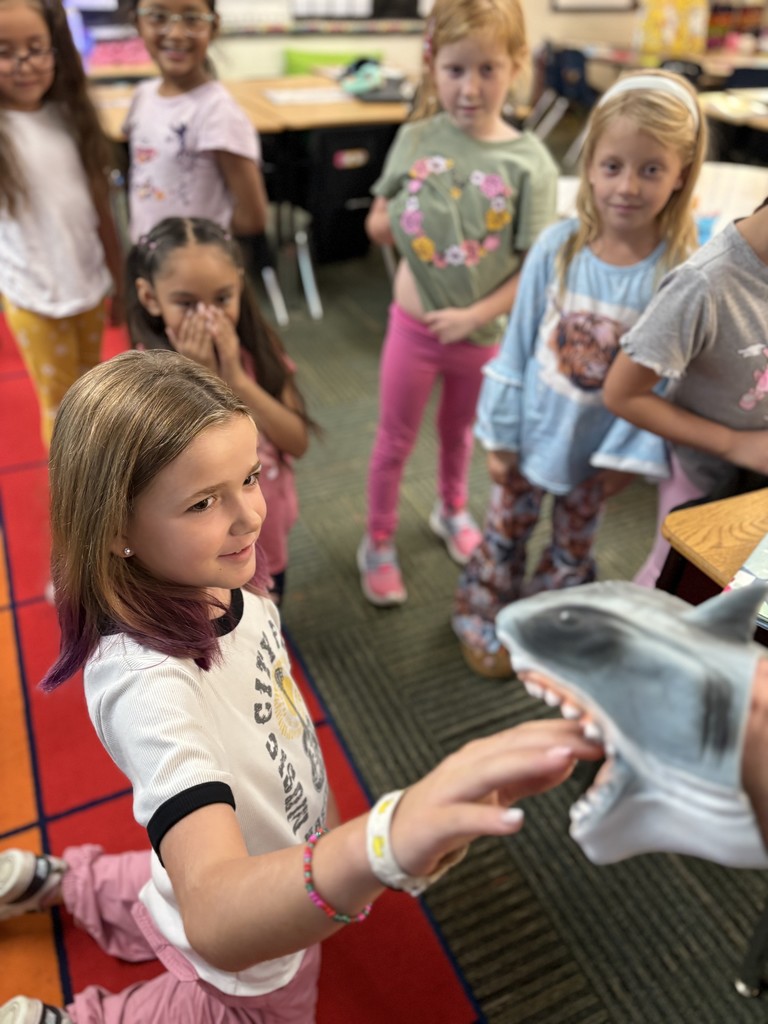 a student reaches for a shark toy
