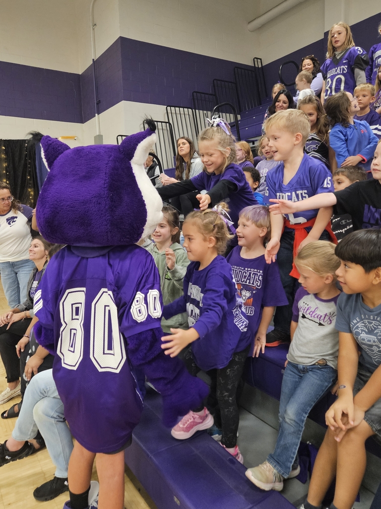 Willie the Wildcat