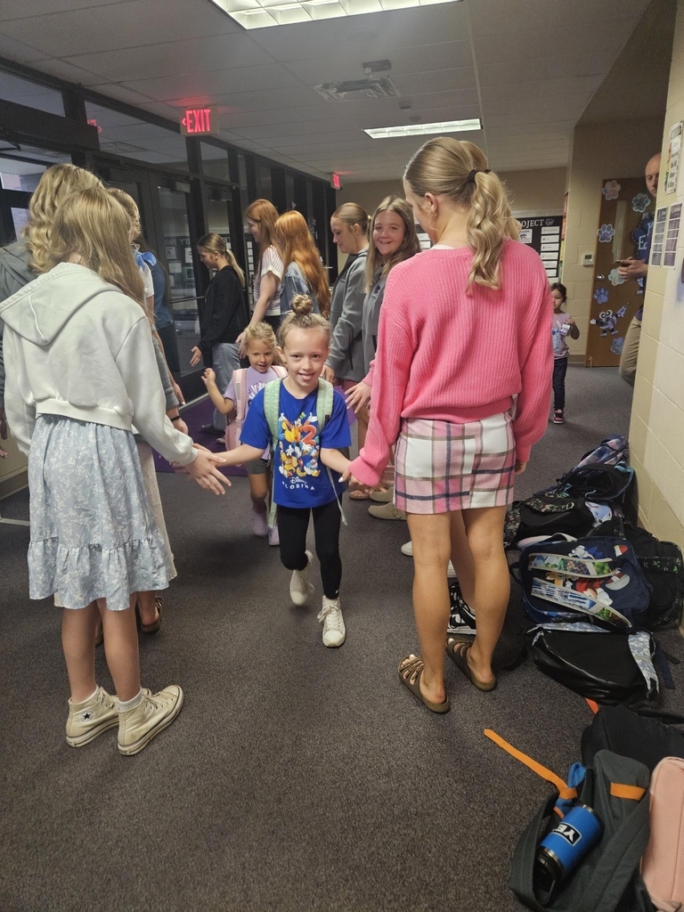 ladycats high Five morning!
