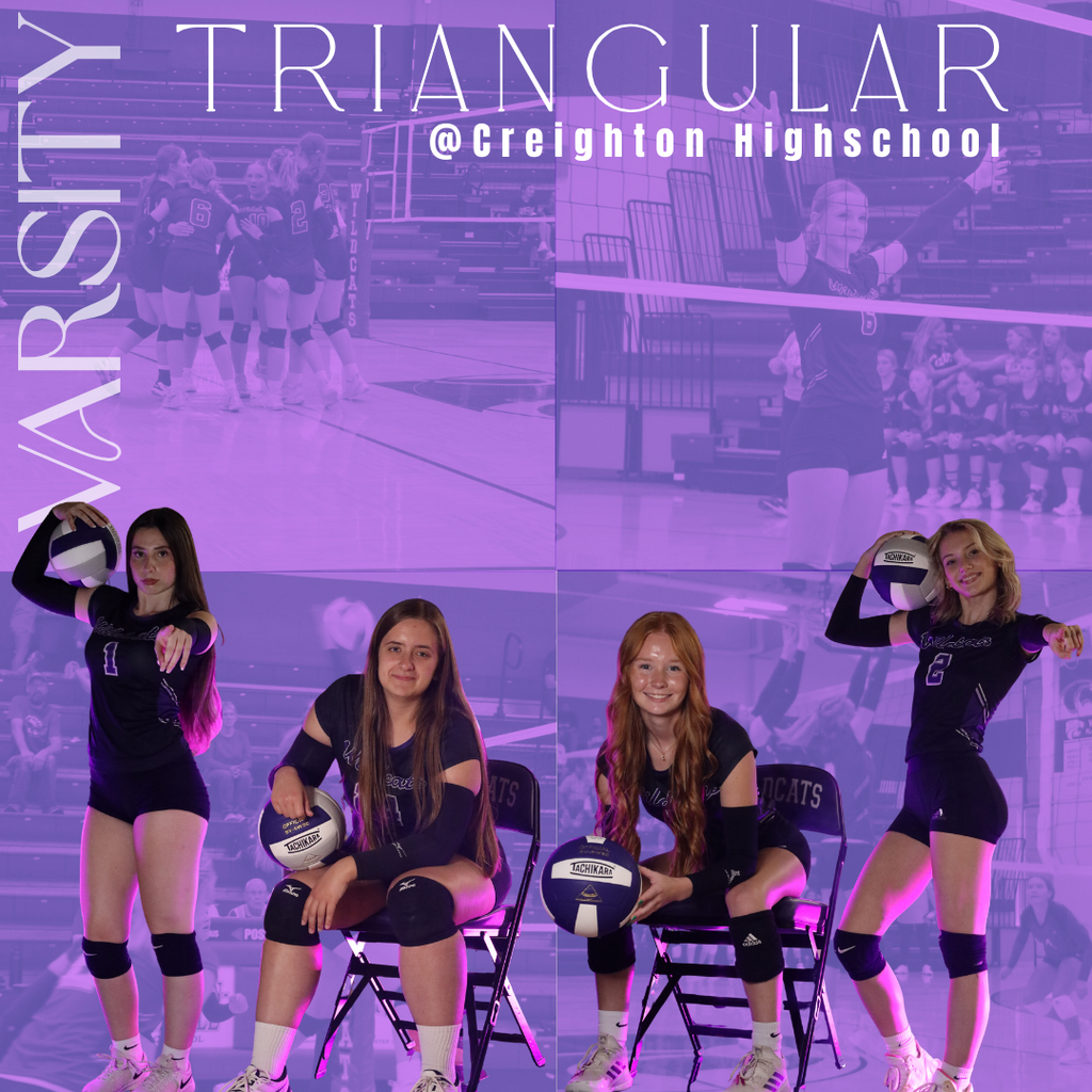 Volleyball Graphic Media Day Pictures