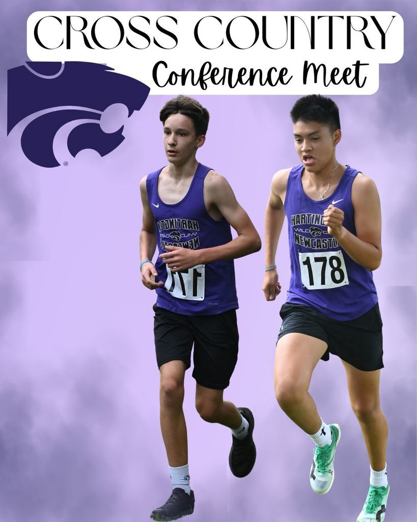 Cross Country Conference Meet Running Picture