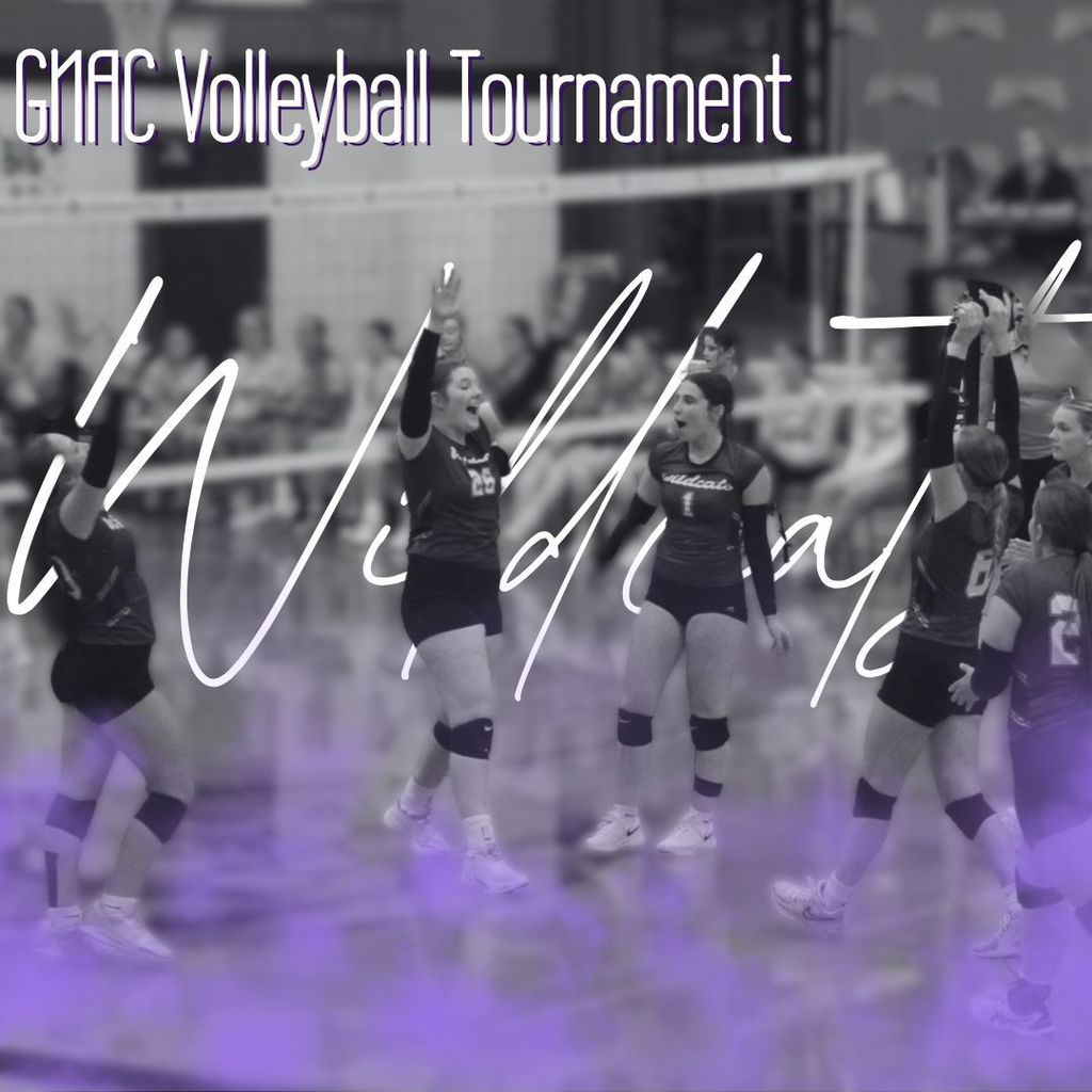 Wildcats Volleyball