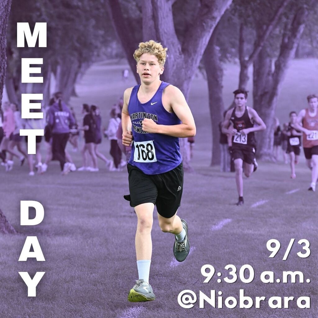 Purple-tinted poster shows an energetic teenage cross-country runner, bib 168, racing through trees with competitors behind; Meet Day, Sept. 3.