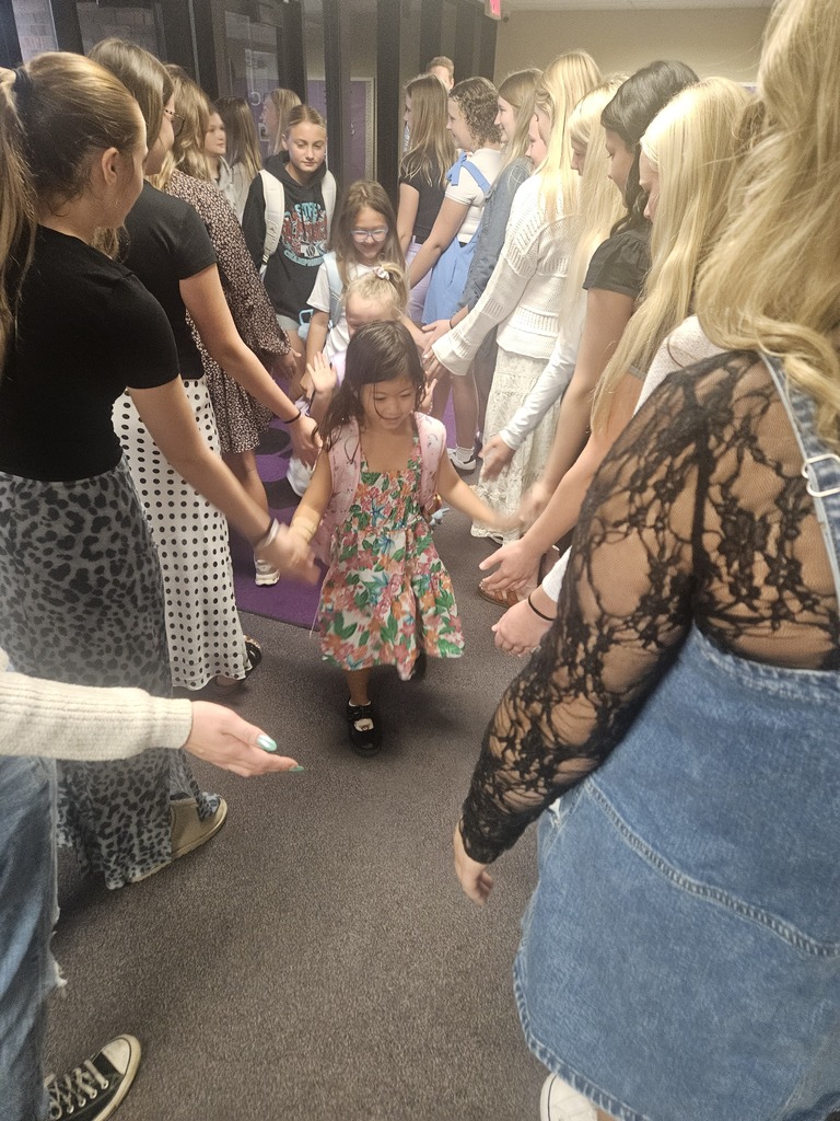 High Fives from Wildact Team