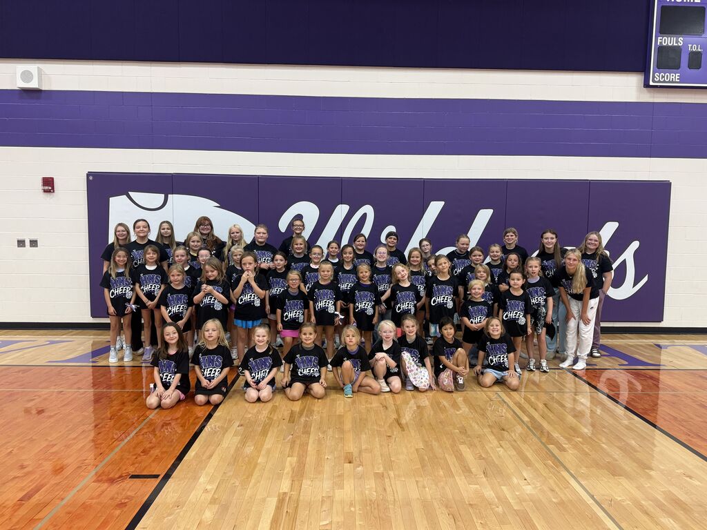 Alt text: A large group of young cheerleaders and their older student helpers pose together in a school gym wearing matching black and purple HNS Cheer shirts.