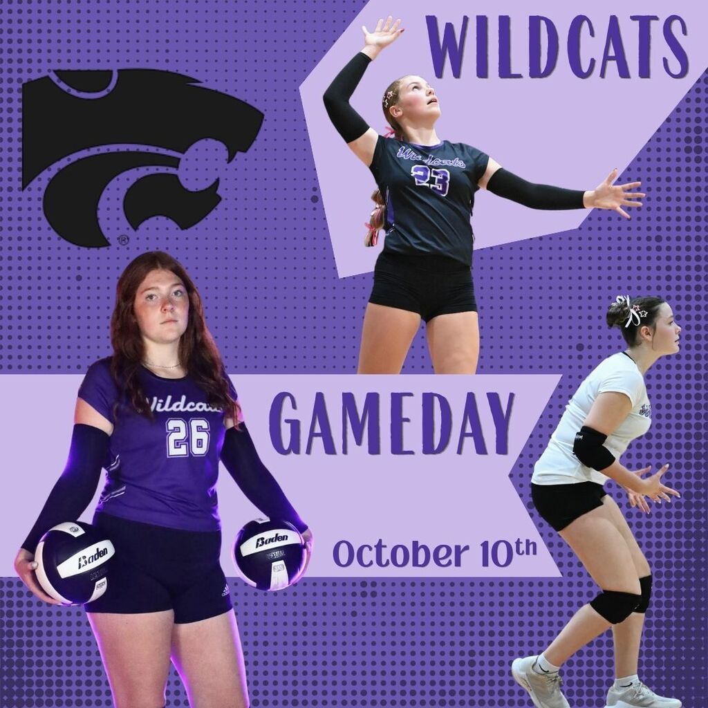 Purple Wildcats volleyball game-day poster with three players serving and preparing to receive, a wildcat logo, and text announcing “Game Day, October 10th.”