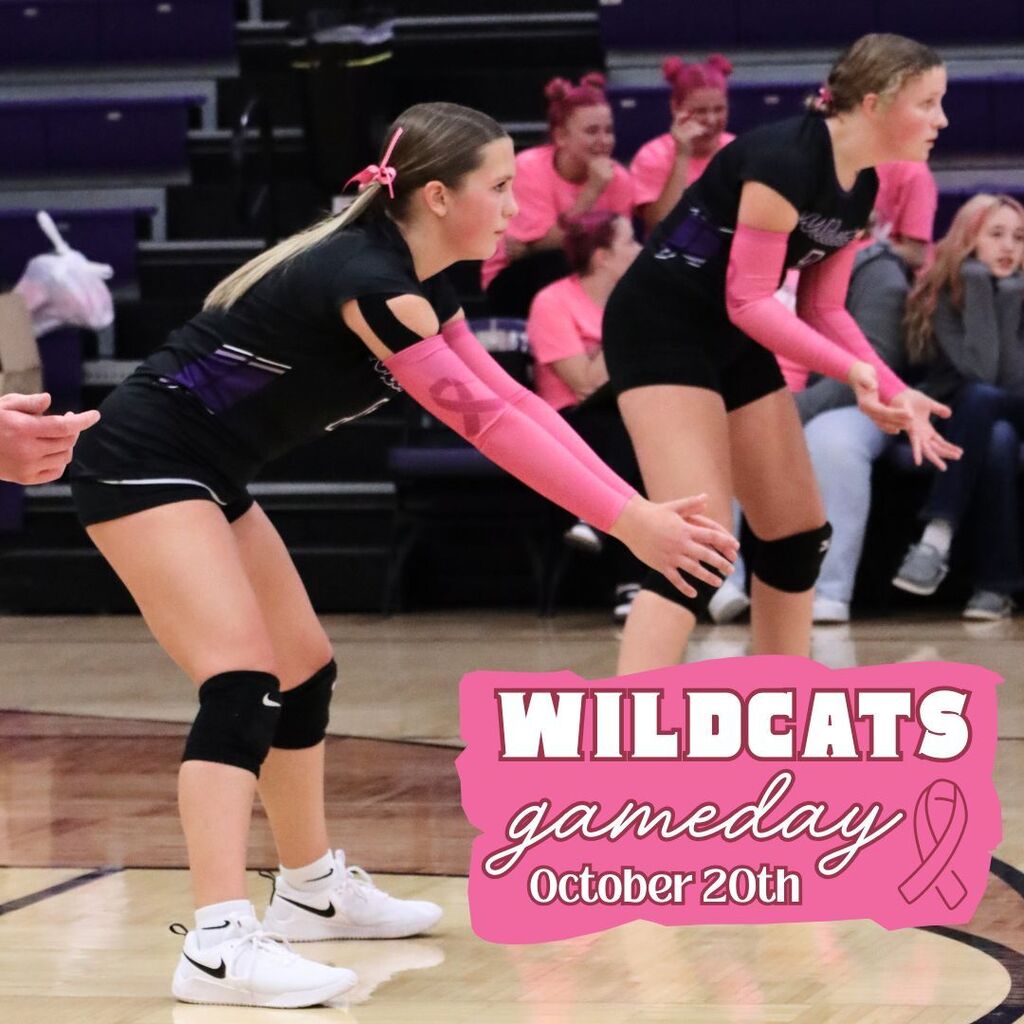 Two Wildcats volleyball players in black uniforms and pink sleeves crouch ready on court as teammates watch; a pink graphic announces “Gameday, October 20th.”