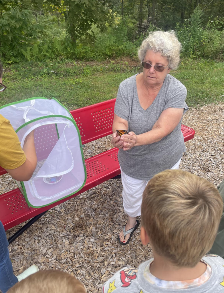 releasing butterflies