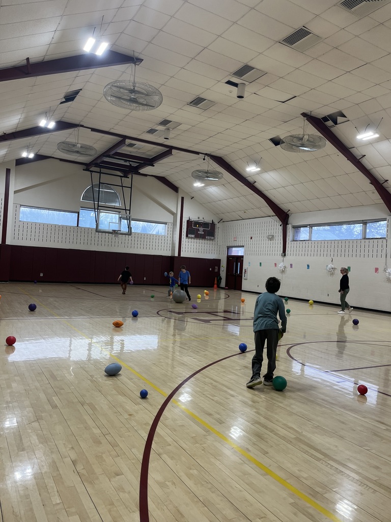 Kids in a gym with balls on floor