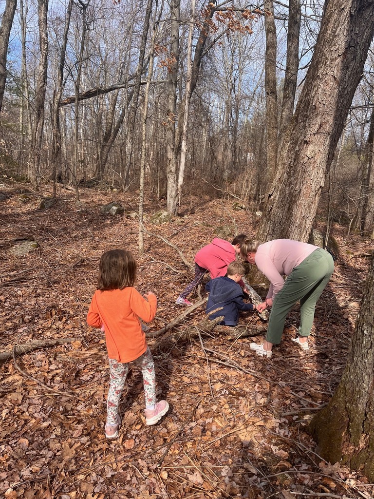 kids and grown up foraging