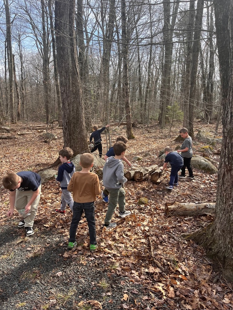kids foraging in a forest
