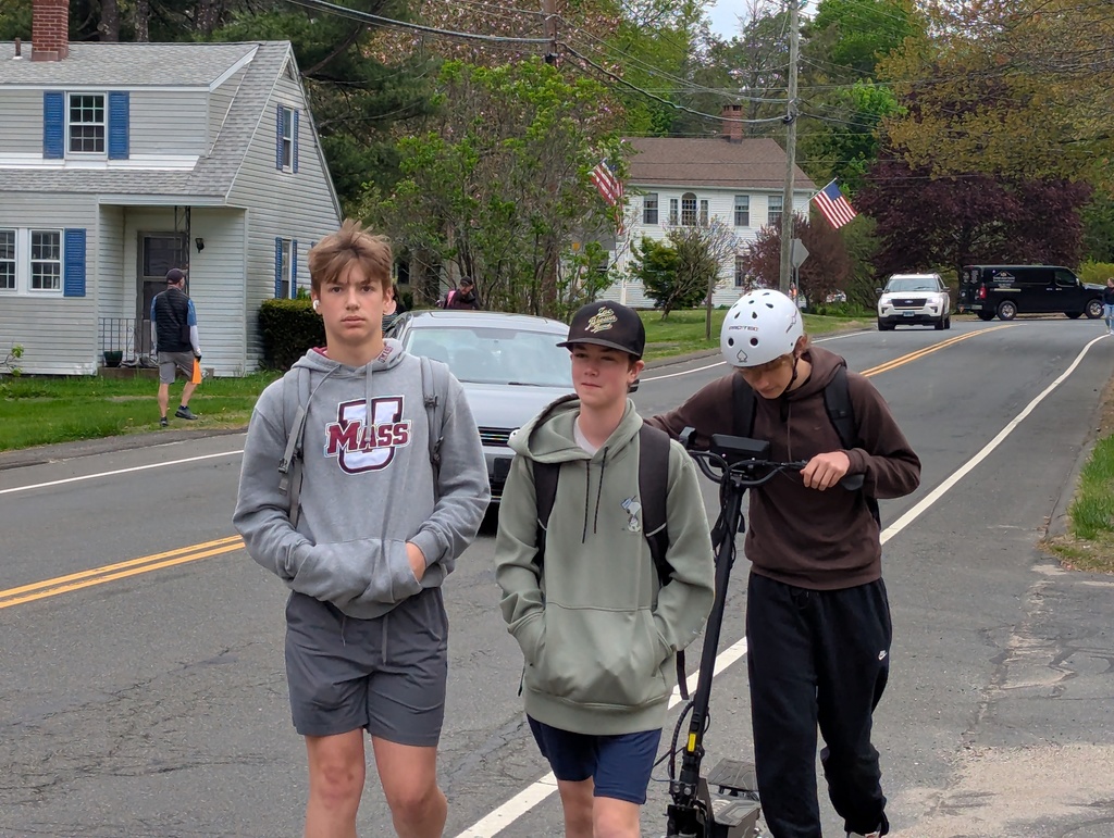 Boys walking in road