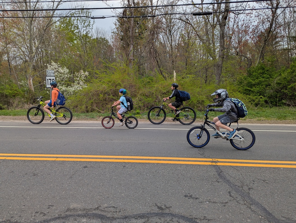 Boys biking on road