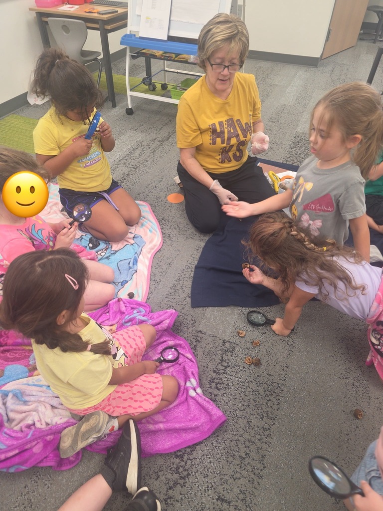 TK students observing acorns and walnuts