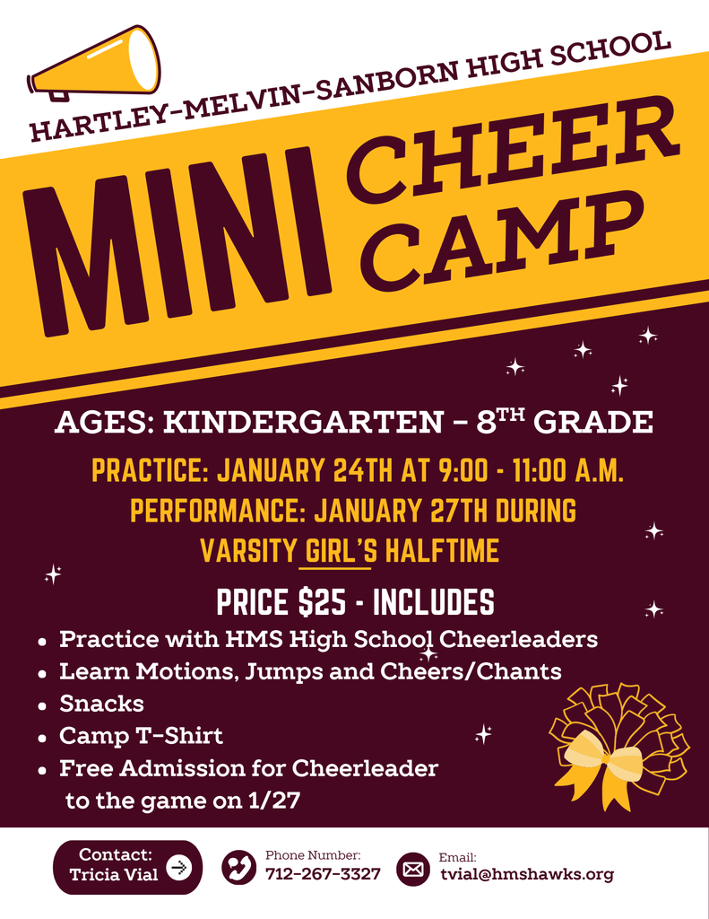 Mini Cheer Camp