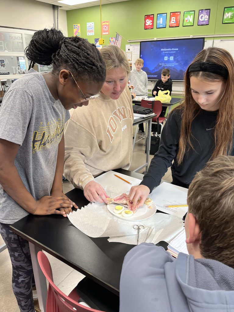 7th Grade Stem Cell Lab