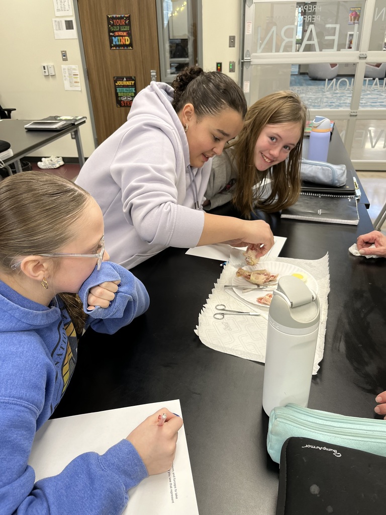 7th Grade Stem Cell Lab