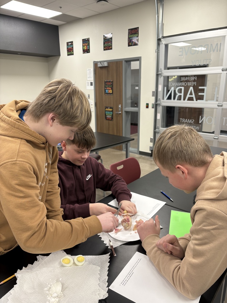 7th Grade Stem Cell Lab