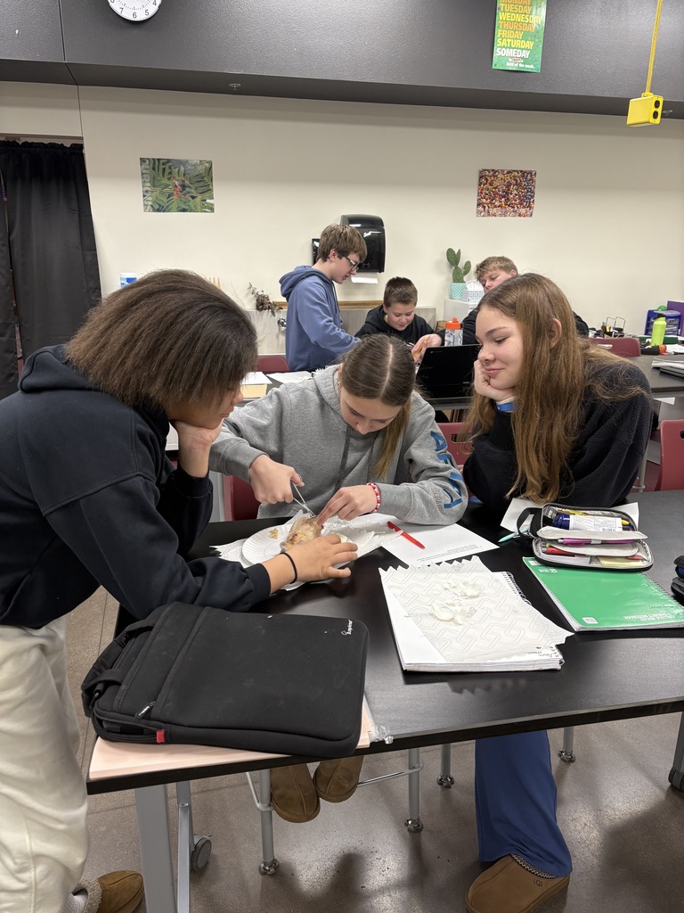 7th Grade Stem Cell Lab