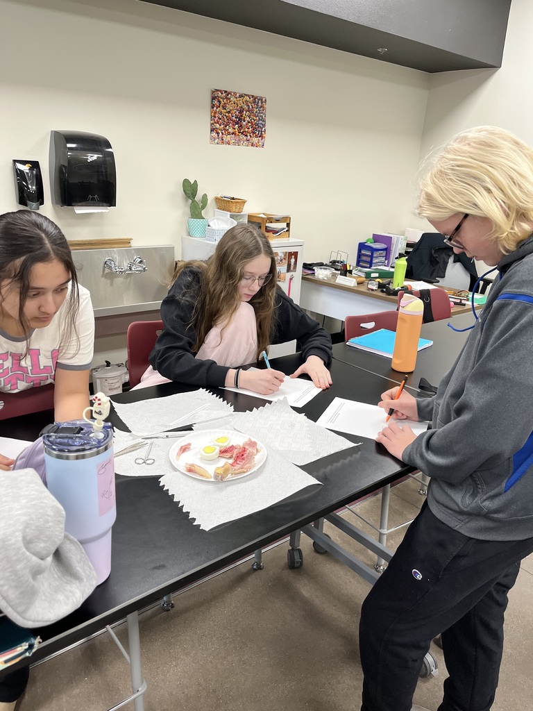 7th Grade Stem Cell Lab