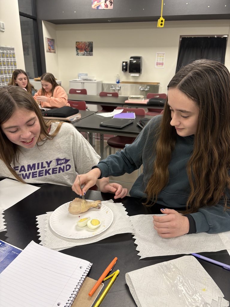 7th Grade Stem Cell Lab