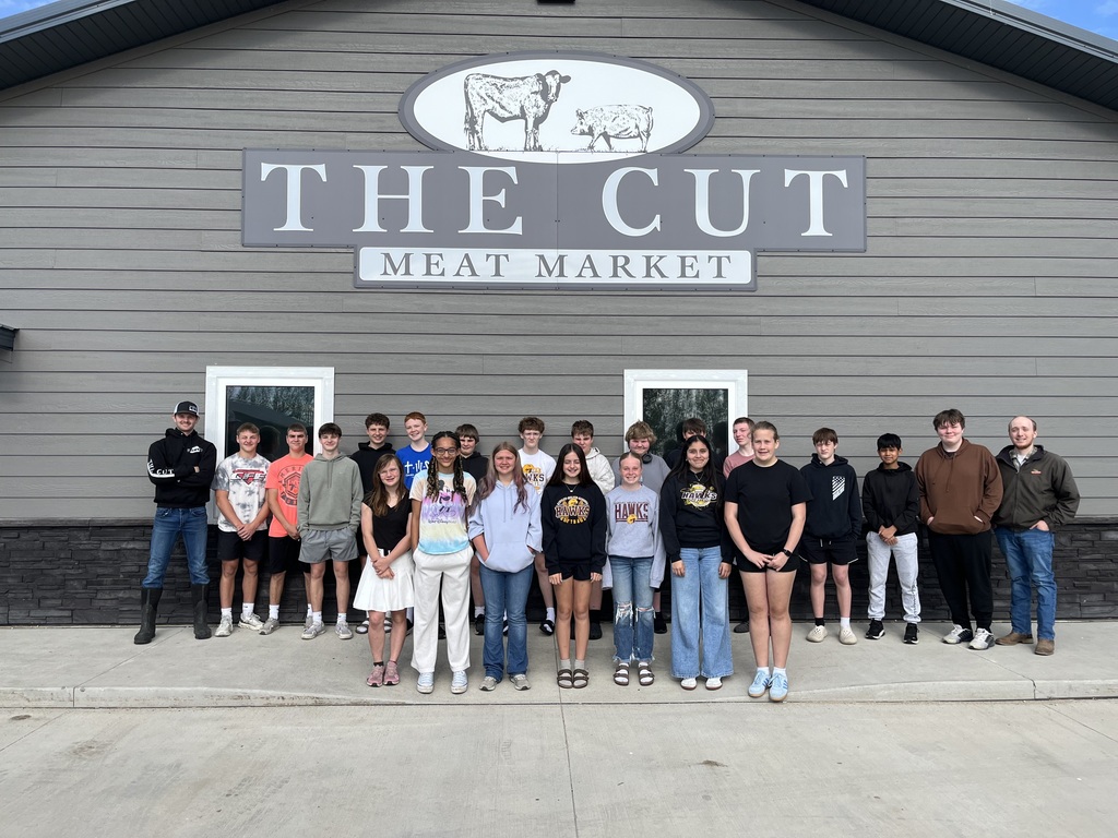 Hometown Hawk Partners